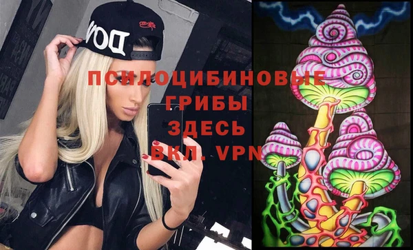 МДПВ Сосновоборск