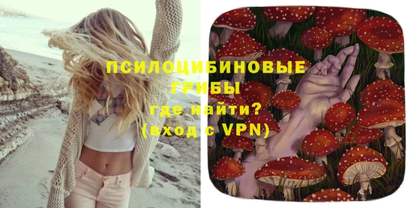 не бодяженный Сосновый Бор