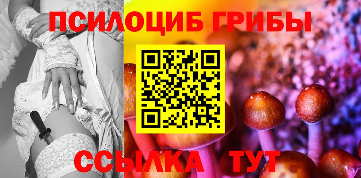 Фролово  Галлюциногенные грибы Psilocybine cubensis  Галлюциногенные грибы Cubensis  Вход с VPN 